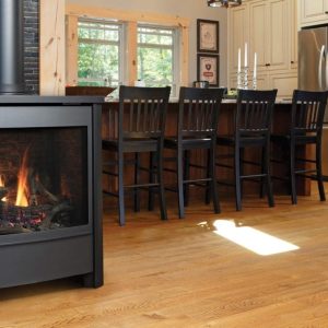 Kingsman - FDV451 -  Free Standing Direct Vent Stove